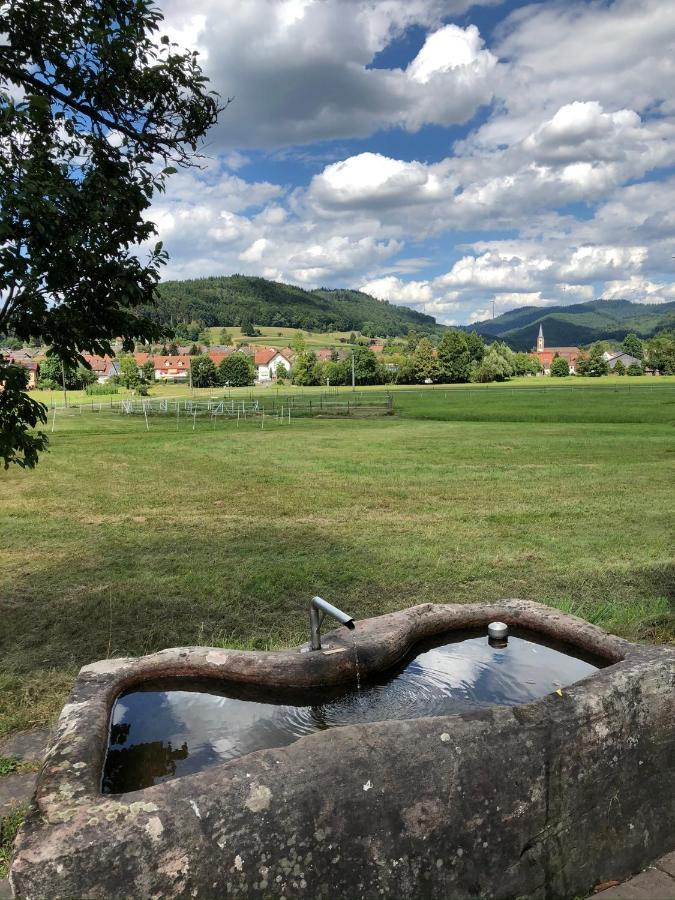 Ferienwohnung Am Gaessle Ettenheim Luaran gambar