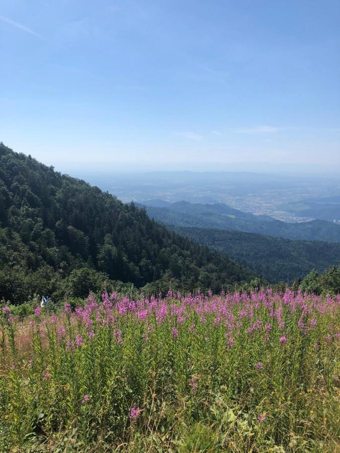 Ferienwohnung Am Gaessle Ettenheim Luaran gambar